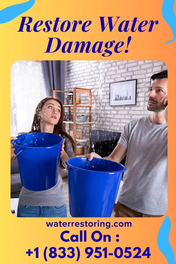 water restoration Capital Disaster Recovery Inc Homer