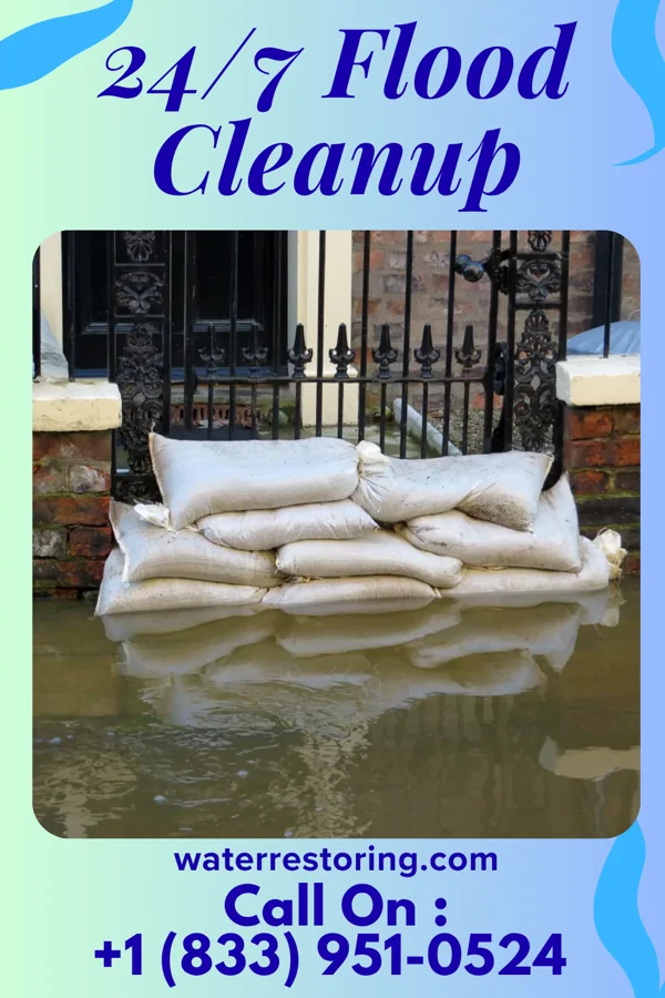 24/7 Flood Cleanup in Homer, MI