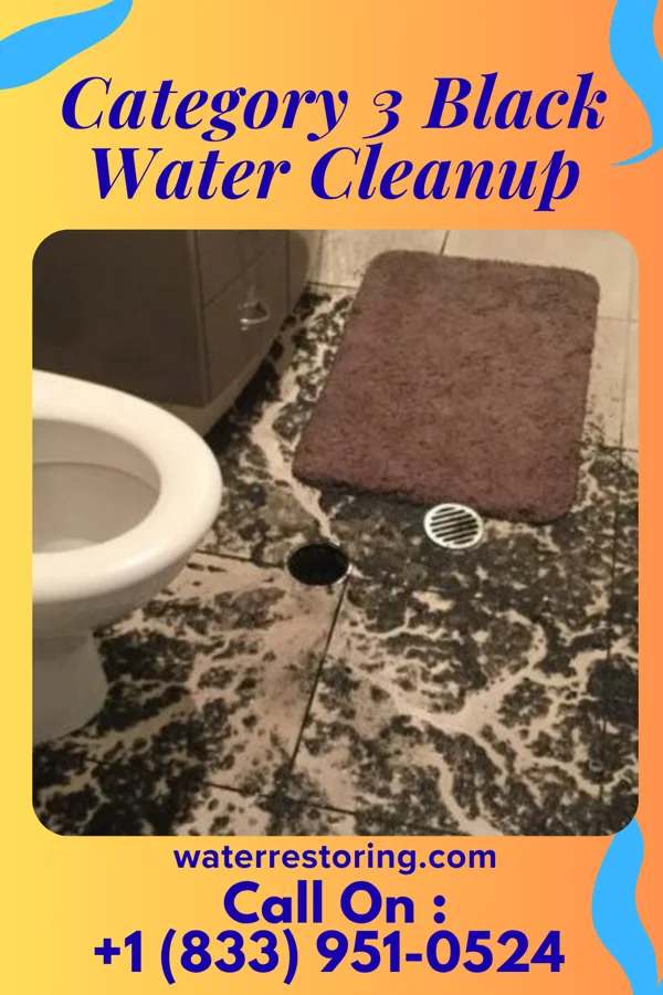 Category 3 Black Water Cleanup in Homer, MI