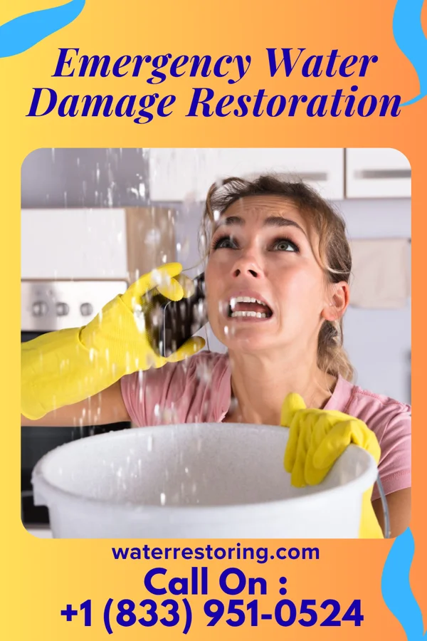 Emergency Water Damage Restoration in Homer, MI