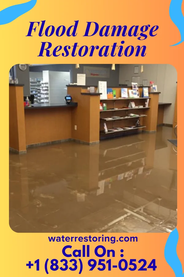 Flood Damage Restoration in Homer, MI