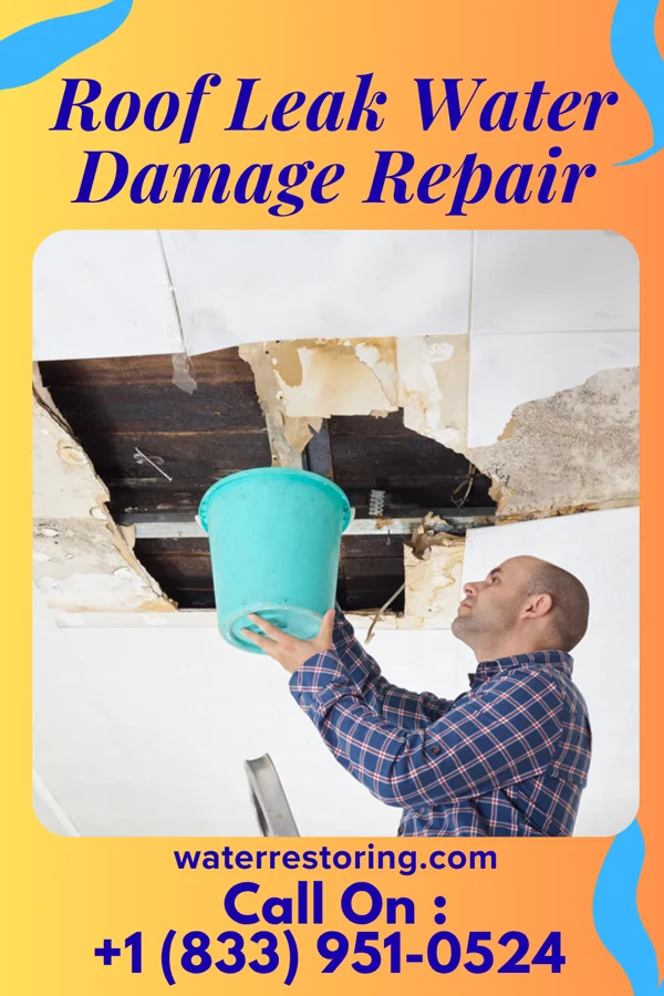 Roof Leak Water Damage Repair in Homer, MI
