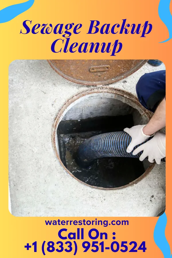 Sewage Backup Cleanup in Homer, MI