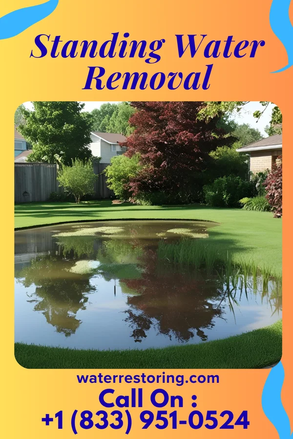 Standing Water Removal in Homer, MI